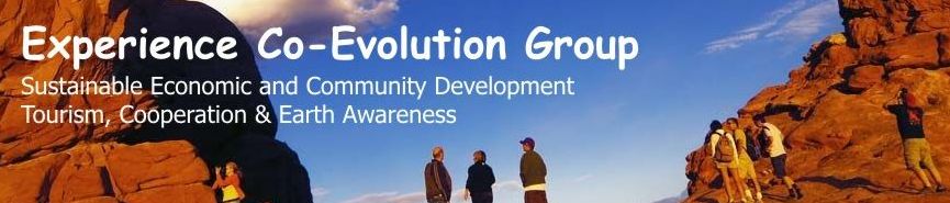 Experience Co-Evolution Group - Community Consulting